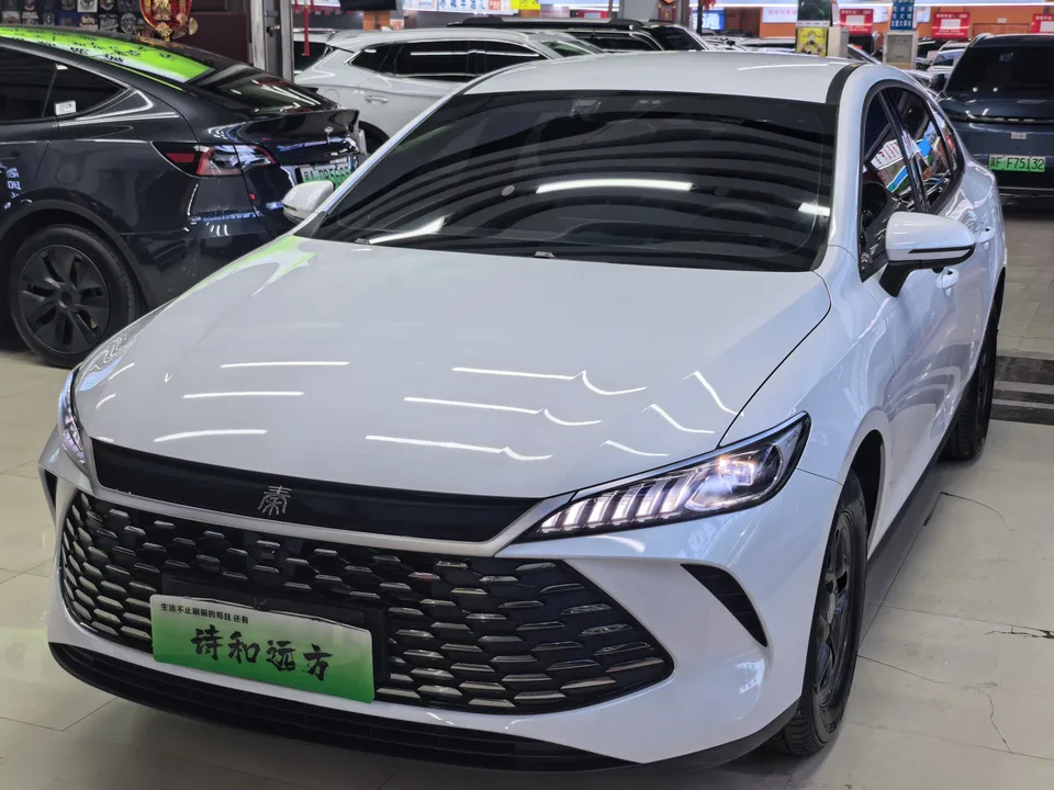 BYD Qin PLUS DM 2025