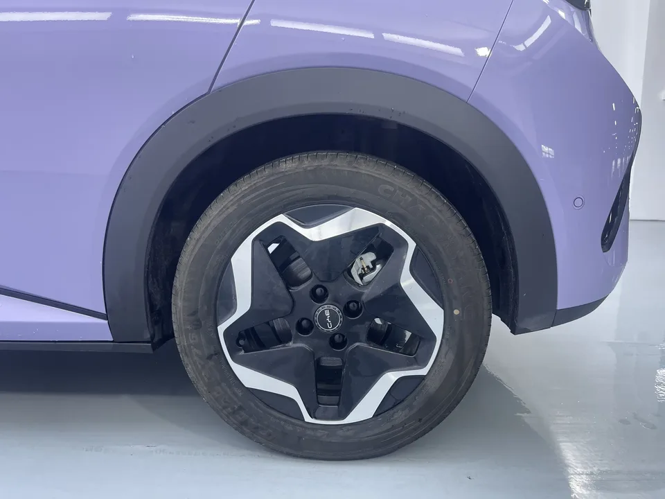 BYD Dolphin 2025