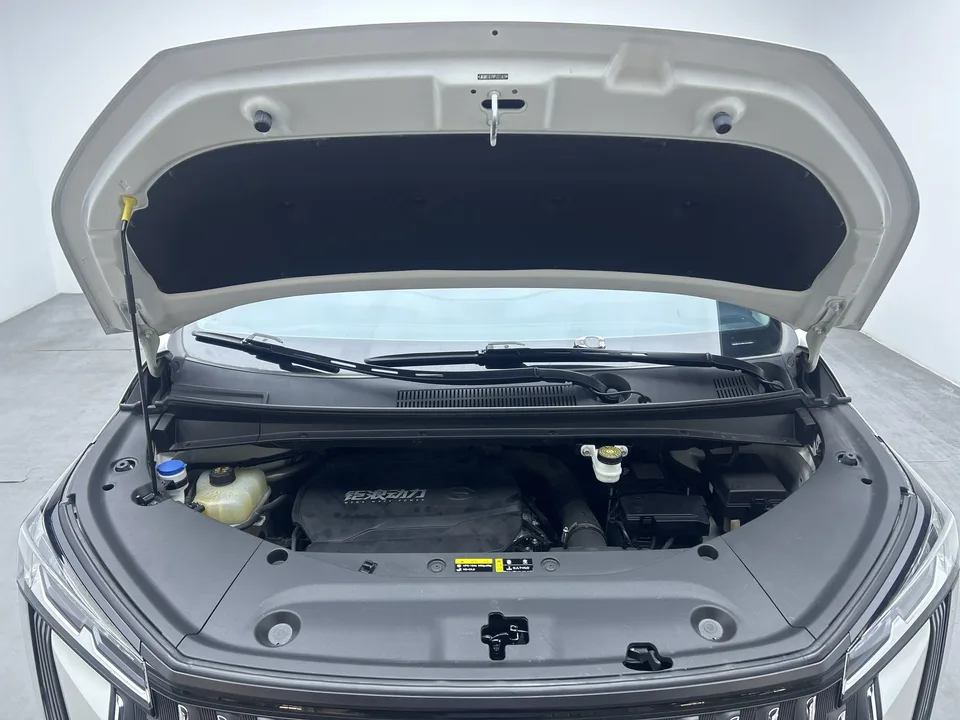 GAC Trumpchi M8 Trumpchi M8 Master Series 2.0TGDI Premium Edition 2024 — thumbnail 2