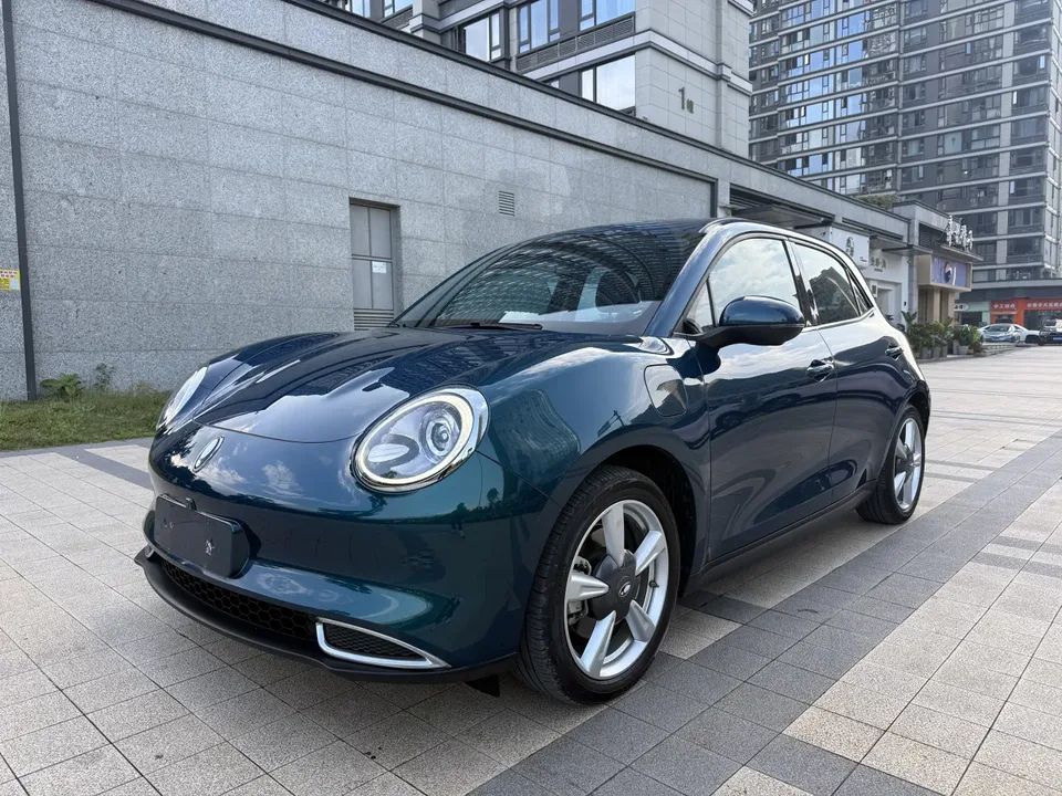 ORA Euler good cat Euler good cat Morandi Edition 400km standard range premium ternary lithium 2023 — photo 1, buy with delivery to Moscow
