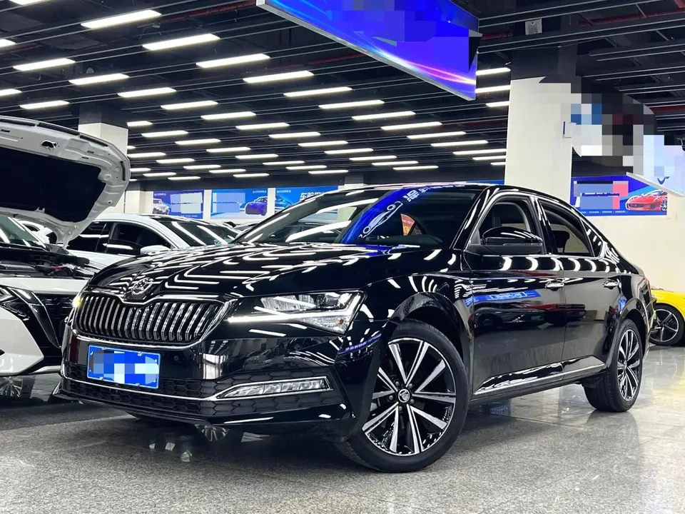 Skoda Speedy 2024