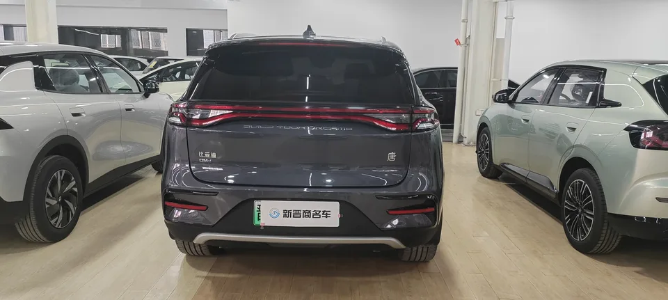BYD Tang DM Tang DM DM-i Champion Edition 112KM Premium 2023 — миниатюра 3