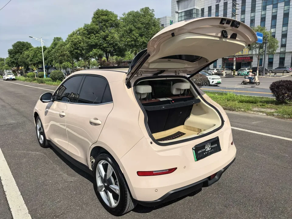 ORA Euler good cat Euler good cat 401km standard range premium ternary lithium model 2023 — миниатюра 5