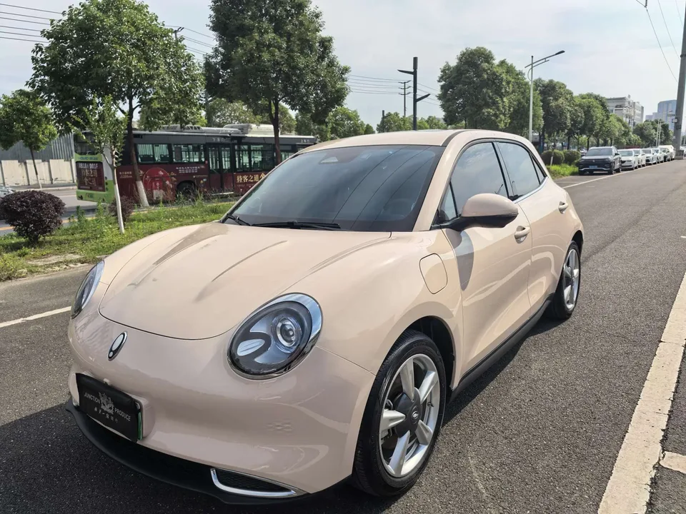 ORA Euler good cat Euler good cat 401km standard range premium ternary lithium model 2023 — фото 1, купить с доставкой в Москву