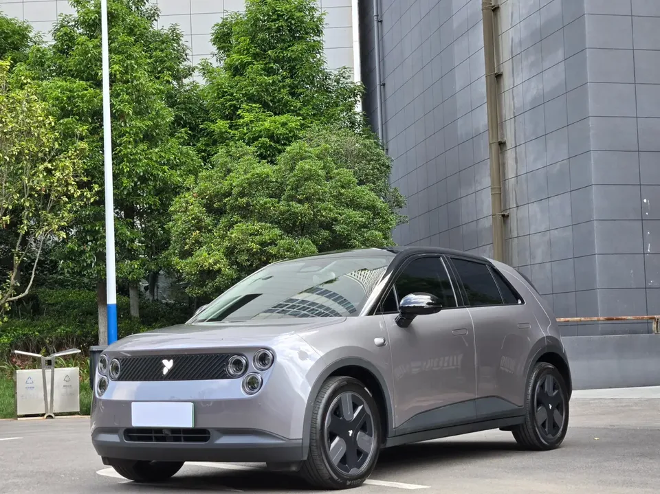 Firefly firefly firefly Luminous version 2025 — photo 1, buy with delivery to Moscow