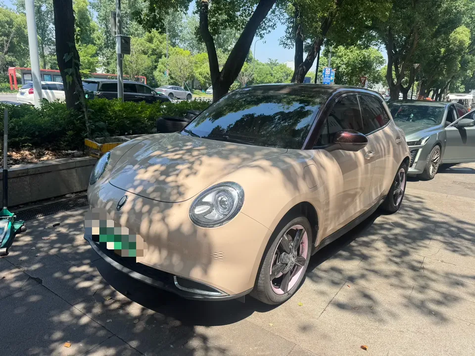 ORA Euler good cat Euler good cat 401km standard endurance comfort type lithium iron phosphate 2023 — photo 1, buy with delivery to Moscow