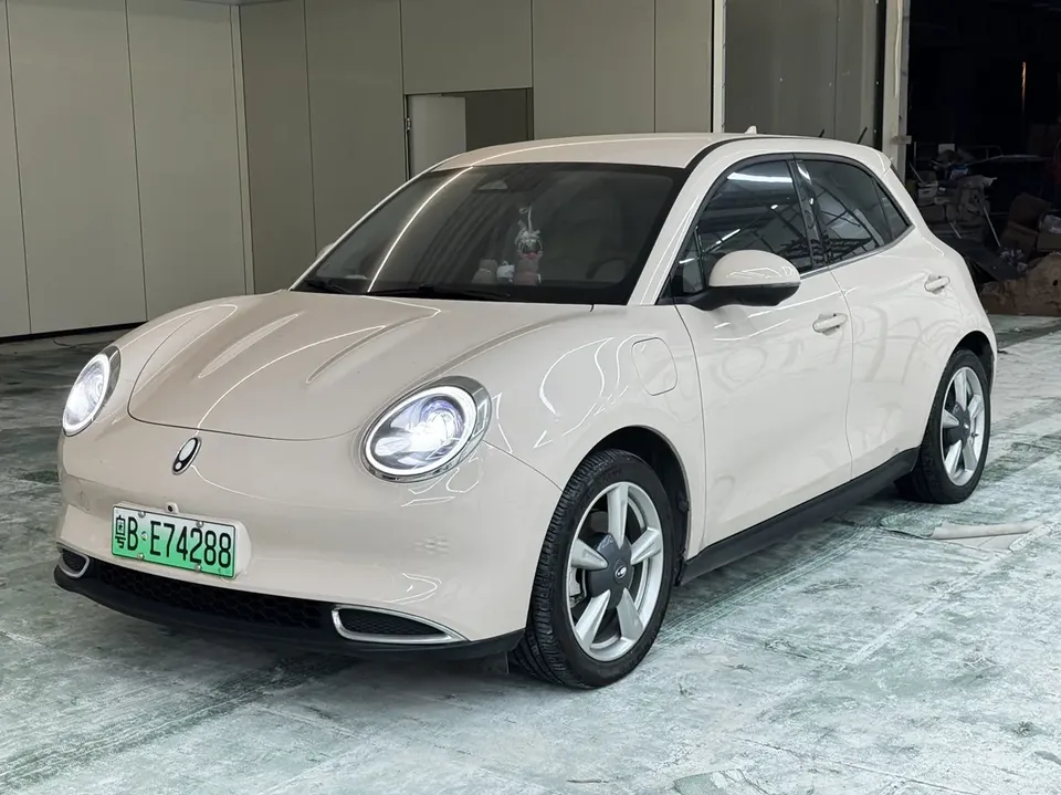 ORA Euler good cat Euler good cat 401km Comfort Type 2024 — photo 1, buy with delivery to Moscow
