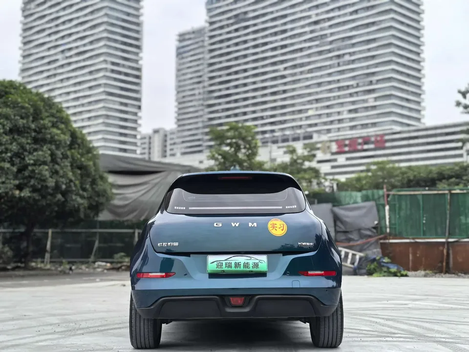 ORA Euler good cat Euler good cat 430km Luxury 2025 — thumbnail 5