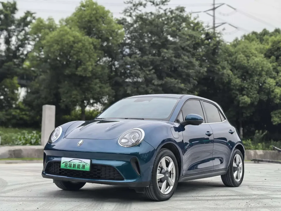 ORA Euler good cat Euler good cat 430km Luxury 2025 — photo 1, buy with delivery to Moscow