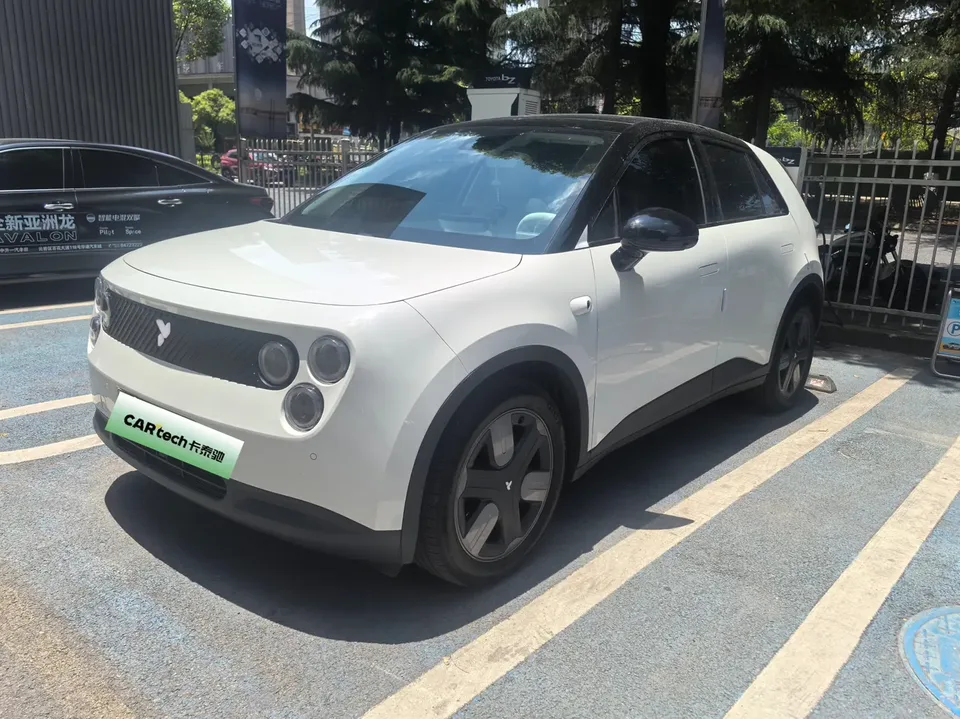 Firefly firefly firefly Luminous version 2025 — photo 1, buy with delivery to Moscow
