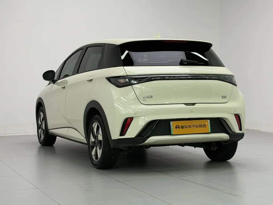 BYD Dolphin dolphin 420KM Free Edition 2025 — миниатюра 2