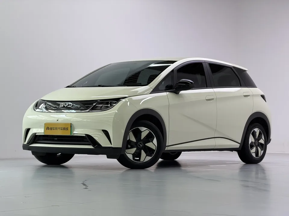 BYD Dolphin dolphin 420KM Free Edition 2025 — фото 1, купить с доставкой в Москву