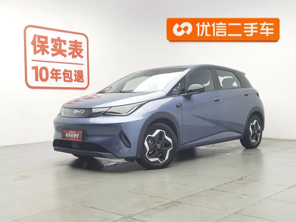 BYD Dolphin dolphin Smart Driving Edition 420KM Free Edition 2025 — photo 1, buy with delivery to Moscow