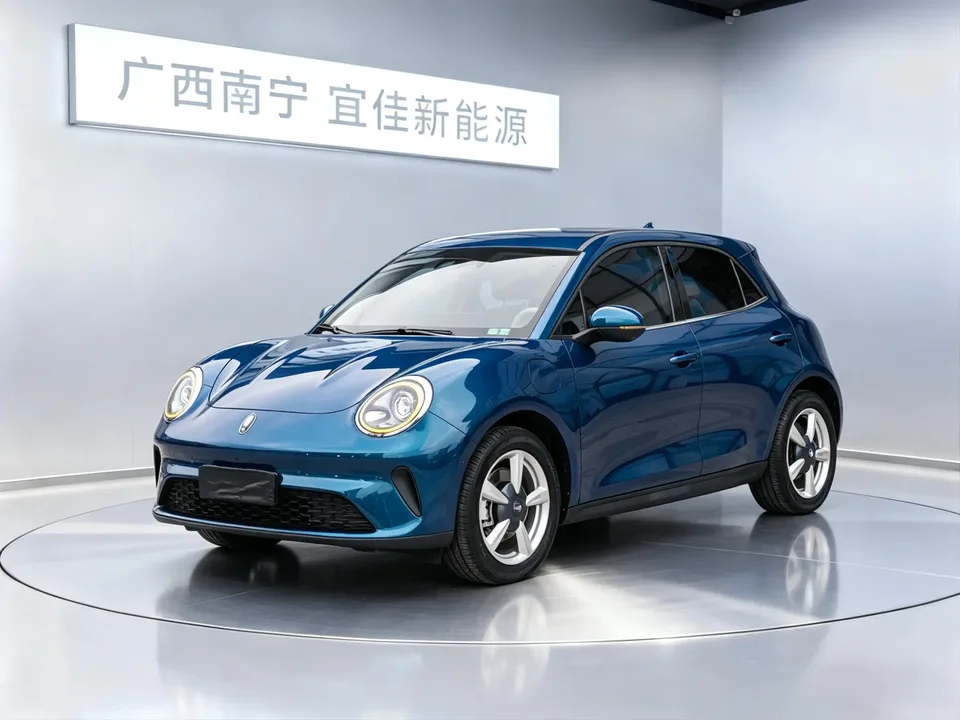 ORA Euler good cat Euler good cat 430km Premium 2025 — photo 1, buy with delivery to Moscow
