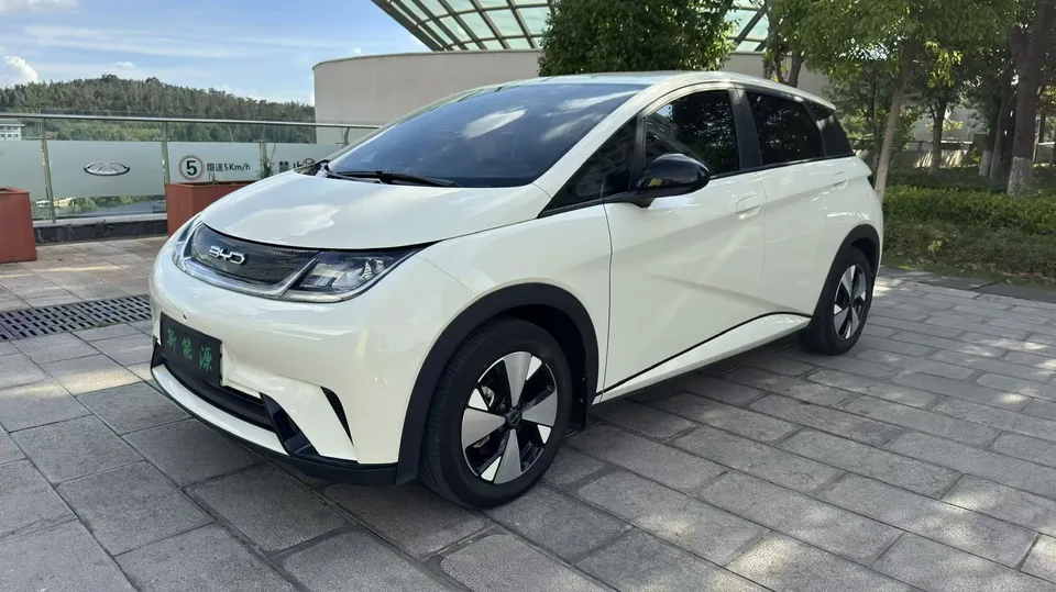 BYD Dolphin Dolphin Dolphin 2023 Free Edition 2023 — photo 1, buy with delivery to Moscow