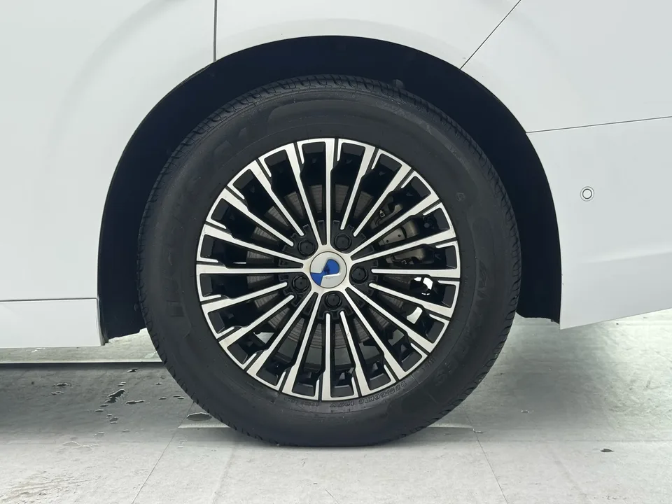 Denza D9 DM D9 DM 970 4WD Flagship 2022 — thumbnail 3