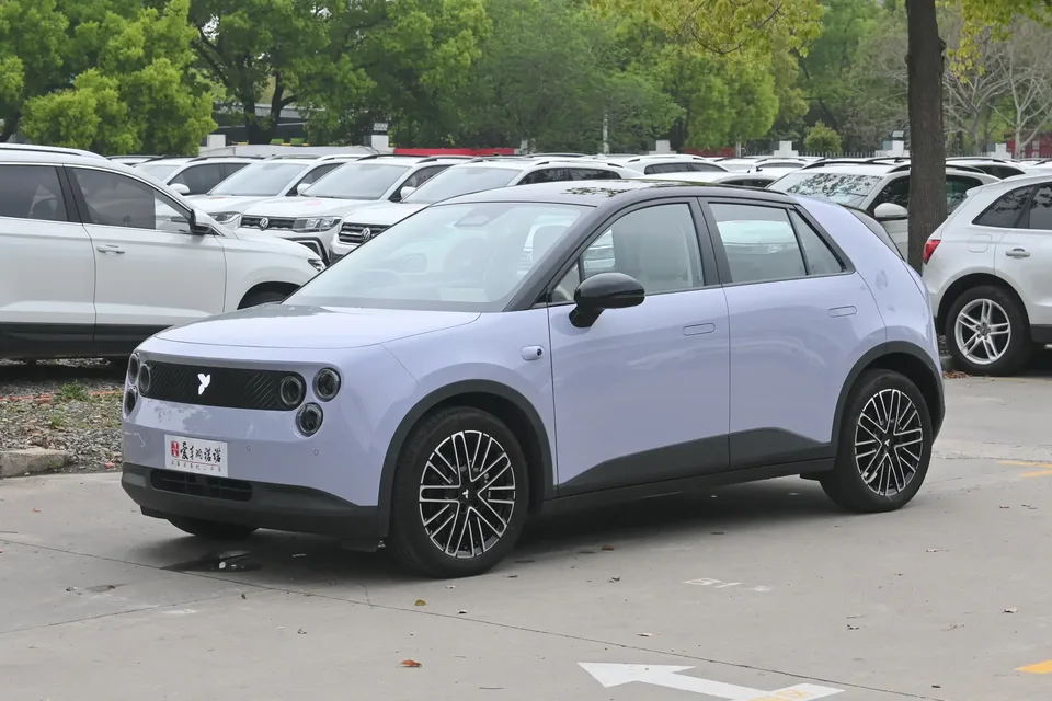 Firefly firefly firefly Luminous version 2025 — photo 1, buy with delivery to Moscow
