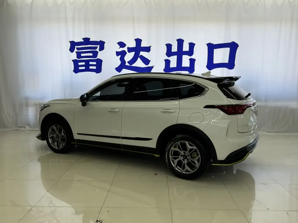 Haval Harvard Red Rabbit Harvard Red Rabbit Jinxiang Edition 1.5T Copper Rabbit 2022 — thumbnail 2