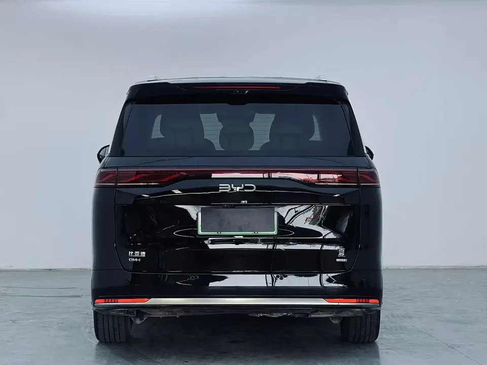 BYD summer summer DM-i 100KM Leading Type 2025 — thumbnail 5