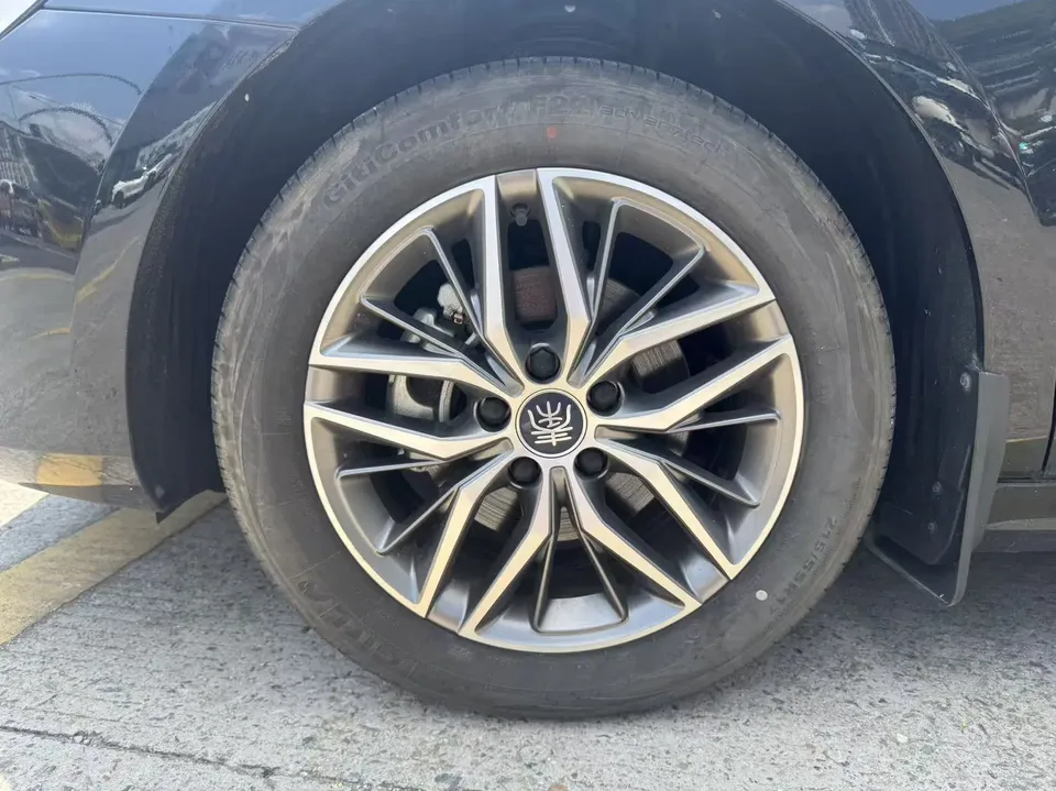 BYD Qin PLUS EV Qin PLUS EV Champion Edition 510KM Leading Edition 2023 — thumbnail 2