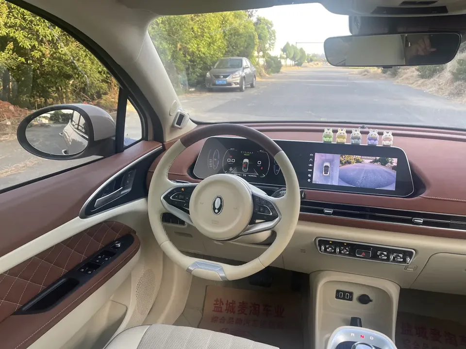 ORA Euler good cat Euler good cat 400km standard endurance premium ternary lithium 2022 — thumbnail 3