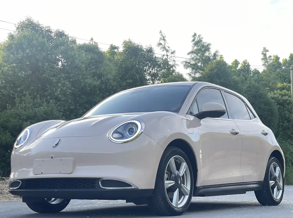 ORA Euler good cat Euler good cat 400km standard endurance premium ternary lithium 2022 — photo 1, buy with delivery to Moscow