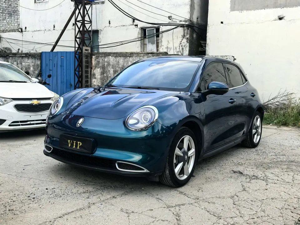 ORA Euler good cat Euler good cat 401km standard range luxury ternary lithium model 2023 — photo 1, buy with delivery to Moscow