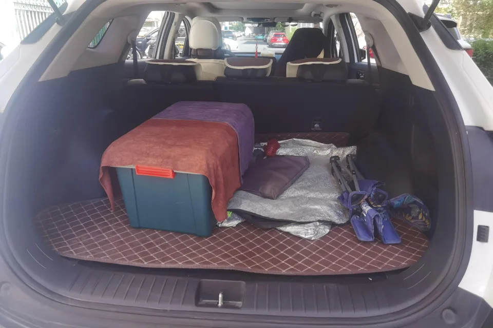 Kia Lion Platinum Expands the Boundary Lion Platinum Expands the Boundary 2.0T 2WD Premium Edition 2025 — thumbnail 5