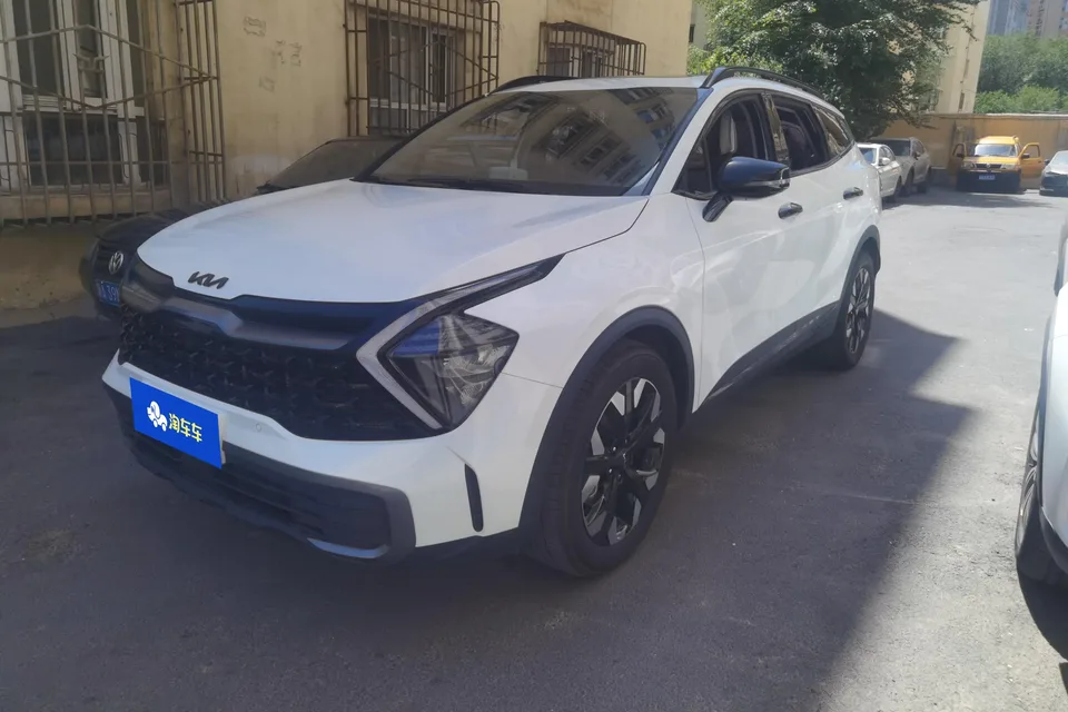 Kia Lion Platinum Expands the Boundary Lion Platinum Expands the Boundary 2.0T 2WD Premium Edition 2025 — photo 1, buy with delivery to Moscow