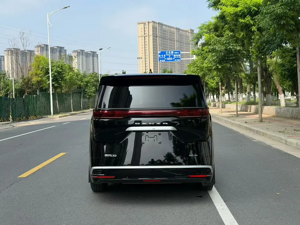 Denza D9 DM D9 DM 970 4WD Flagship 2022 — thumbnail 2