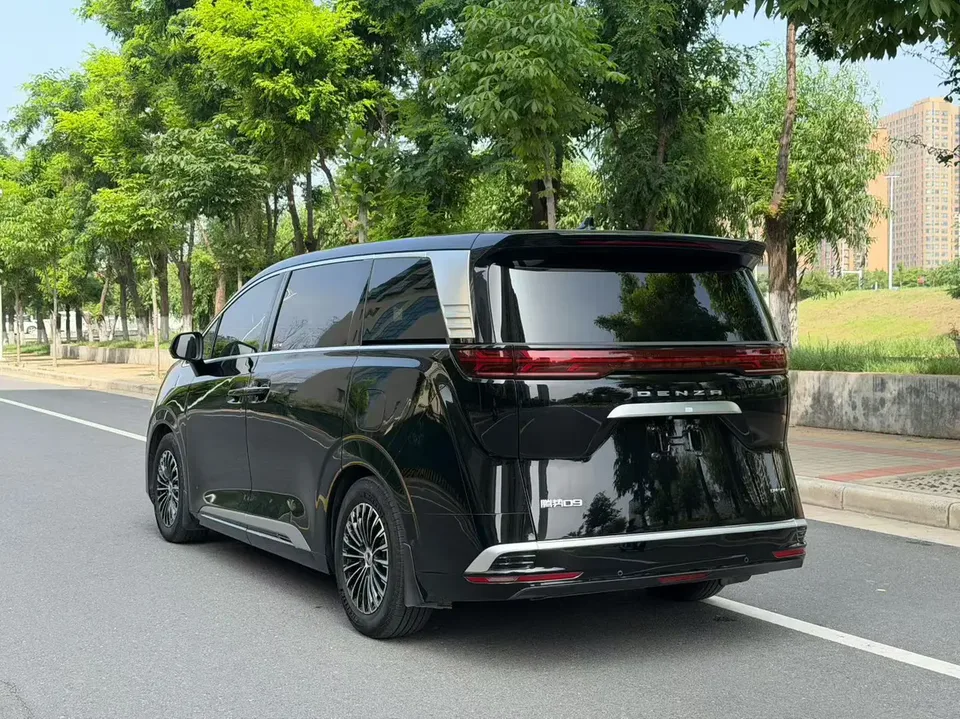 Denza D9 DM D9 DM 970 4WD Flagship 2022 — thumbnail 4