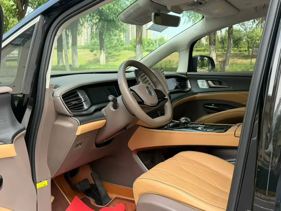 Denza D9 DM D9 DM 970 4WD Flagship 2022 — thumbnail 5