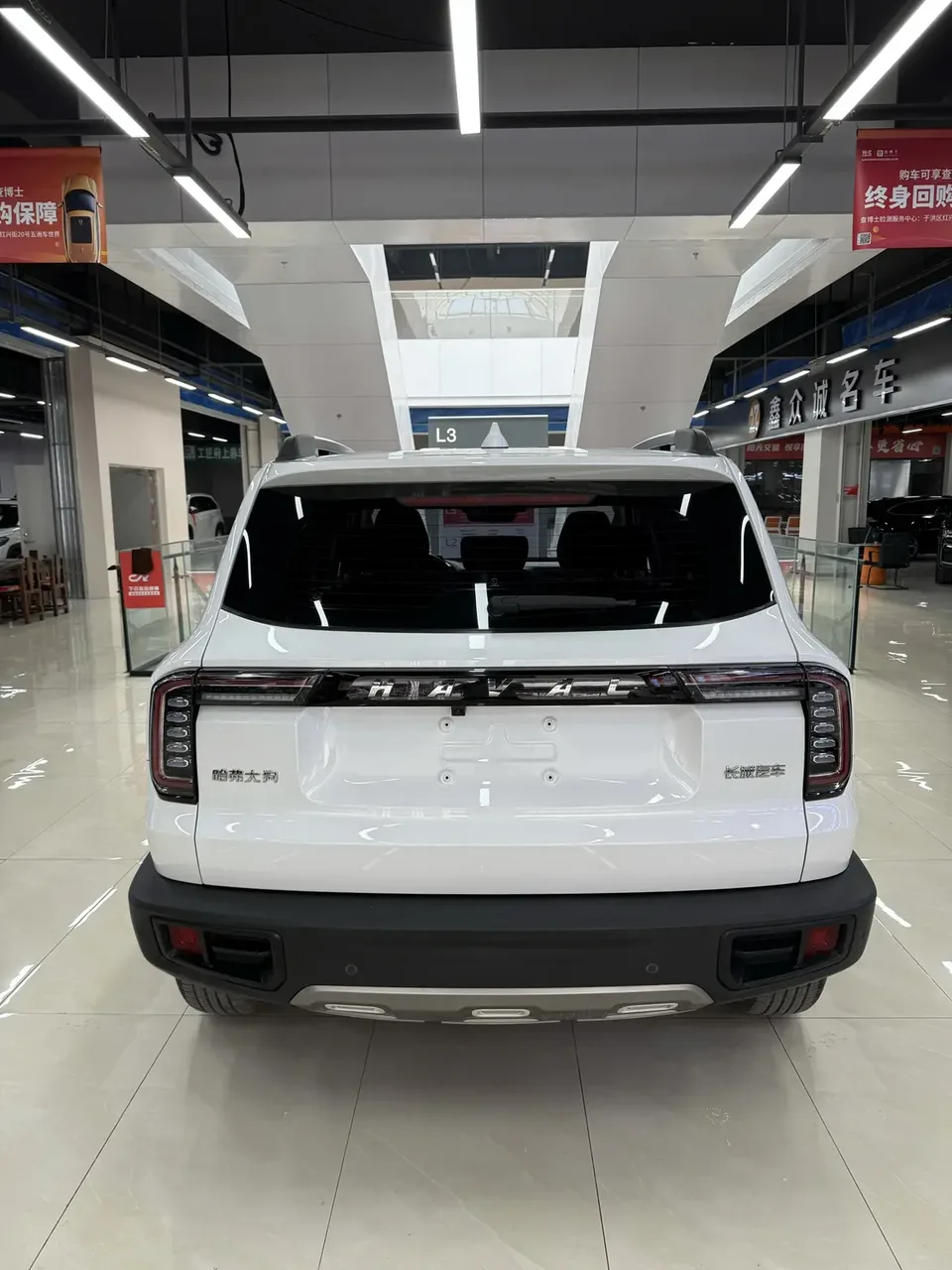 Haval Dargo Harvard dog 1.5T 2WD Border Collie Edition 2022 — thumbnail 2