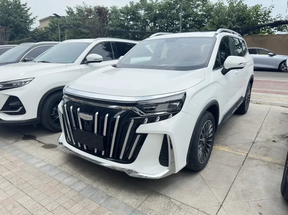Geely Okavango Haoyue L 2.0TD DCT Premium 2025 — photo 1, buy with delivery to Moscow