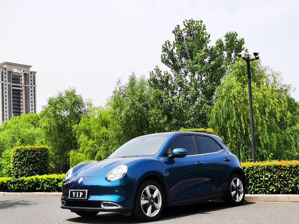 ORA Euler good cat Euler good cat 401km standard range luxury lithium iron phosphate 2023 — photo 1, buy with delivery to Moscow