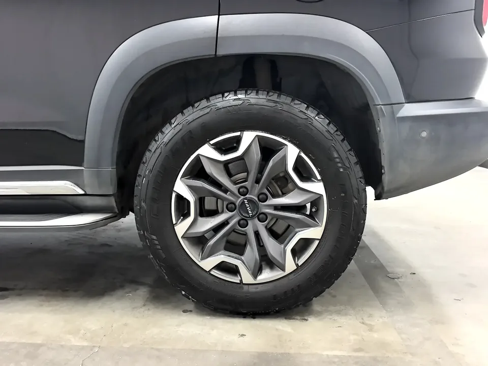 Haval Dargo Harvard dog 2.0T 4WD Roaring Sky Dog Edition 2022 — thumbnail 3