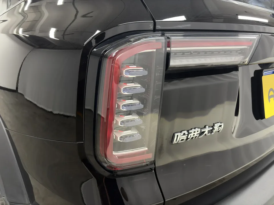 Haval Dargo Harvard dog 2.0T 4WD Roaring Sky Dog Edition 2022 — thumbnail 4