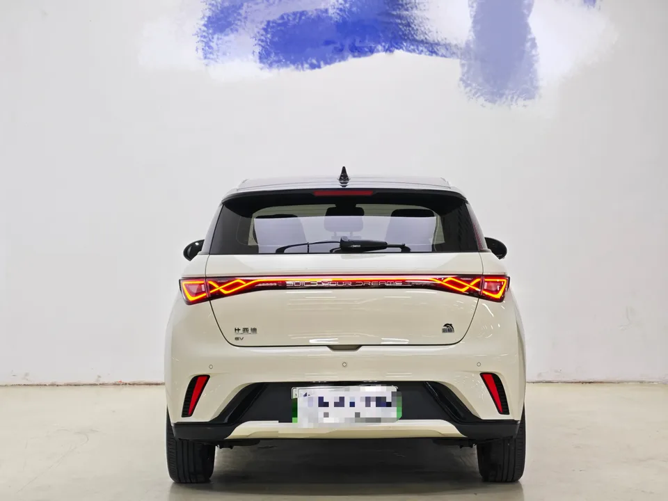 BYD Dolphin Dolphin Dolphin 2023 Free Edition 2023 — thumbnail 2