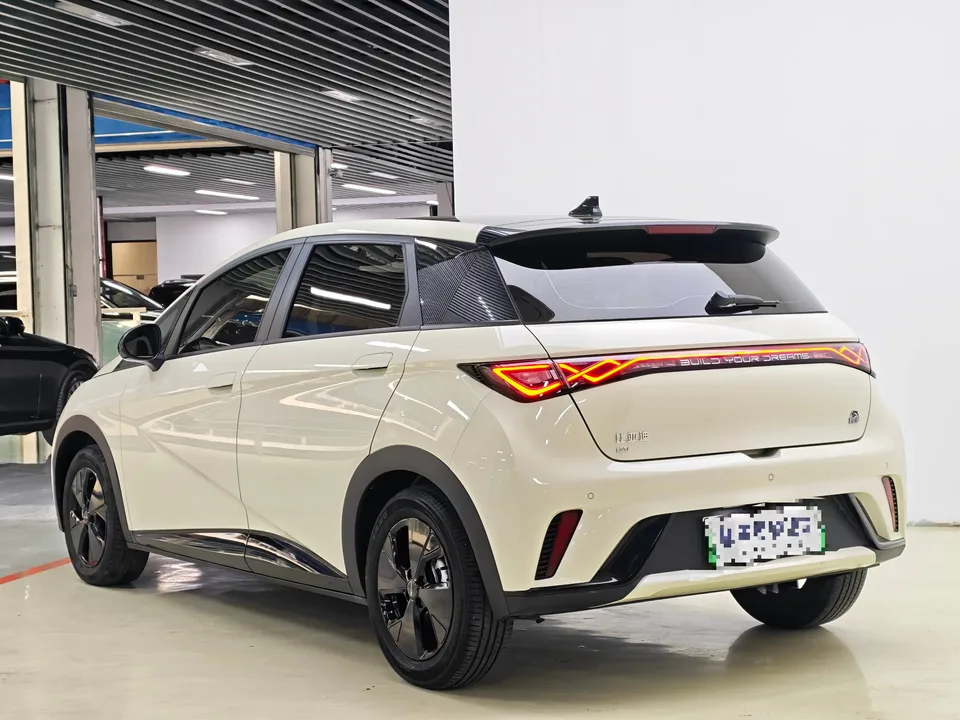 BYD Dolphin Dolphin Dolphin 2023 Free Edition 2023 — thumbnail 4