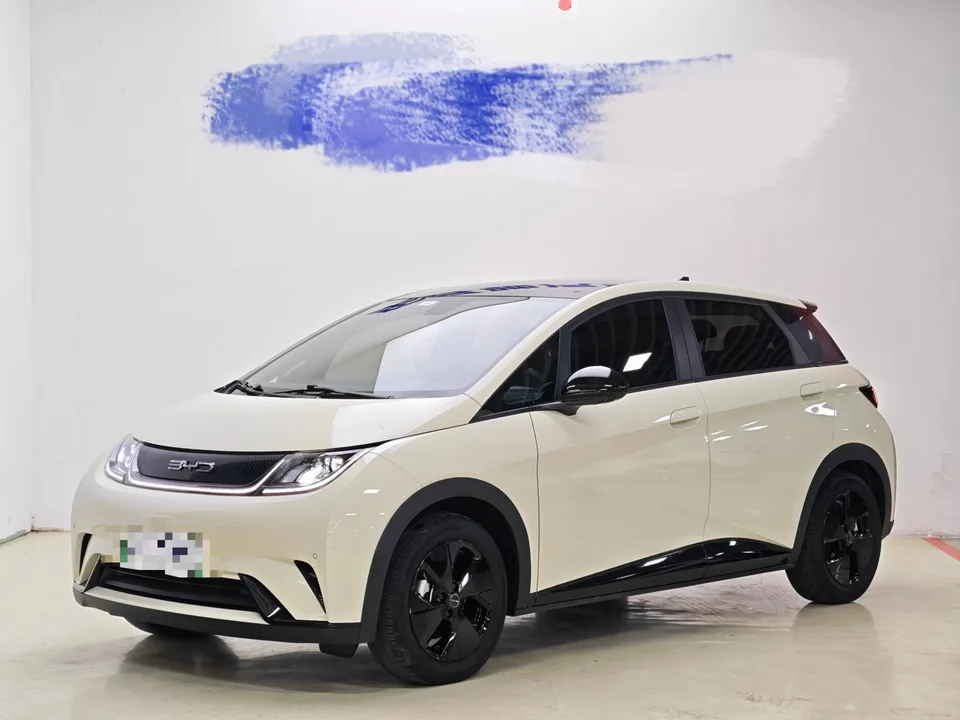 BYD Dolphin Dolphin Dolphin 2023 Free Edition 2023 — photo 1, buy with delivery to Moscow