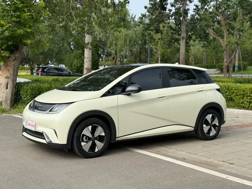 BYD Dolphin Dolphin Dolphin 2023 Fashion Edition 2023 — photo 1, buy with delivery to Moscow