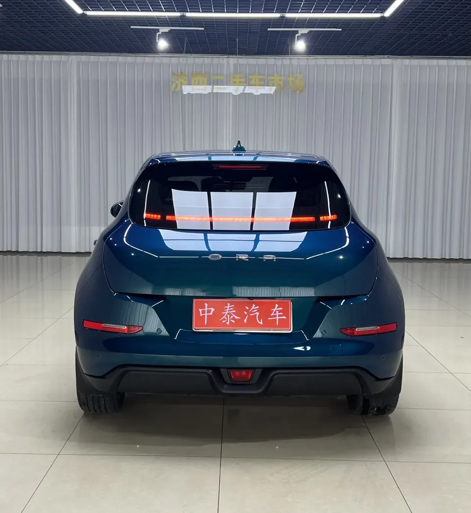 ORA Euler good cat Euler good cat 501km Luxury 2024 — thumbnail 2
