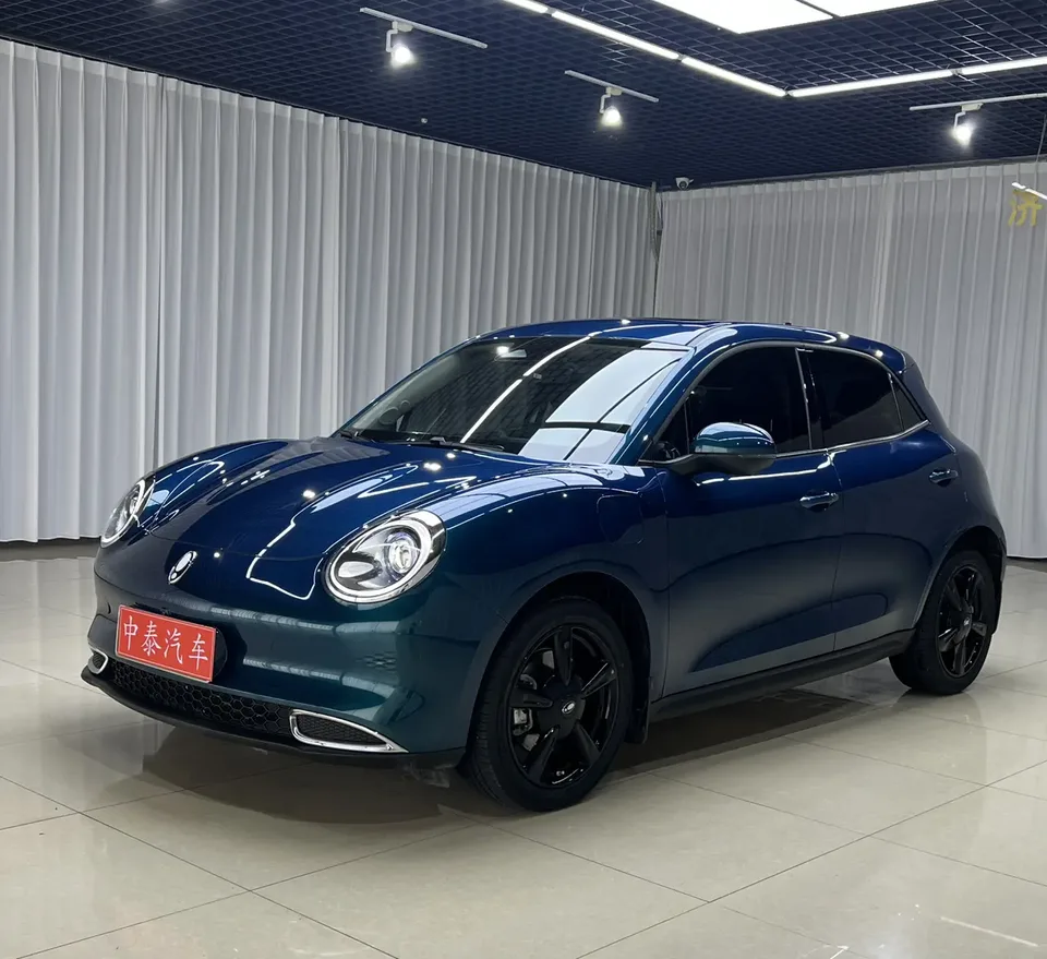 ORA Euler good cat Euler good cat 501km Luxury 2024 — photo 1, buy with delivery to Moscow