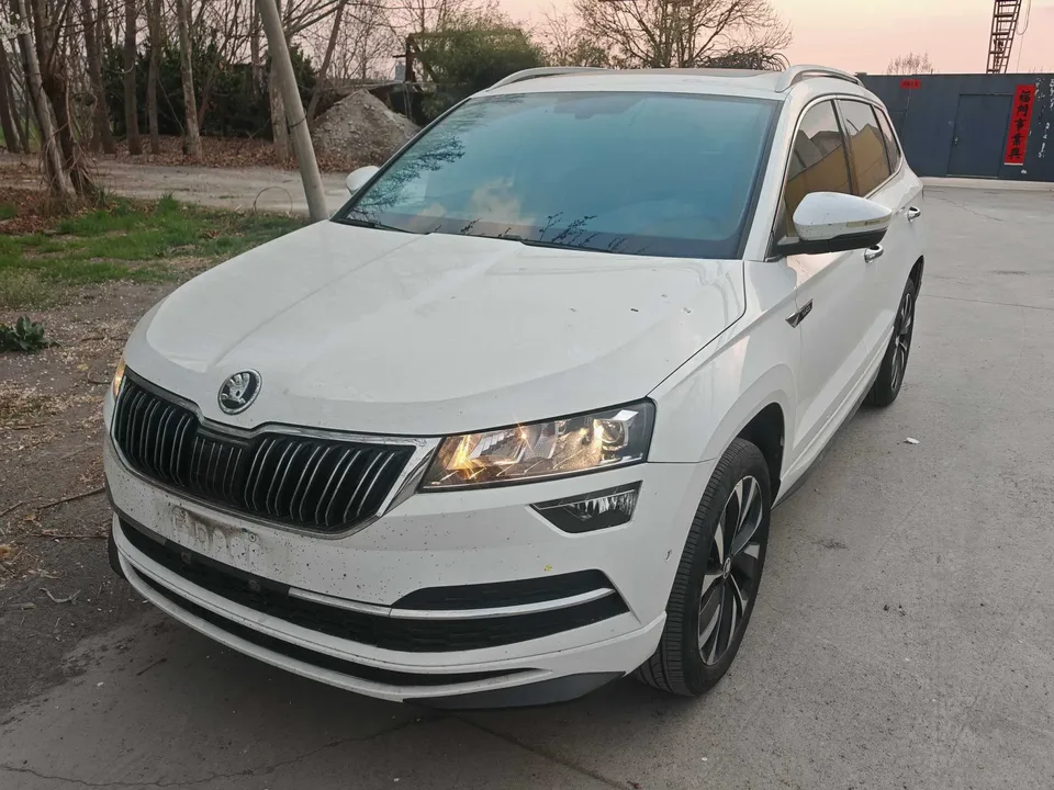 Skoda Karoq Korok TSI280 Luxury Edition 2023 — photo 1, buy with delivery to Moscow