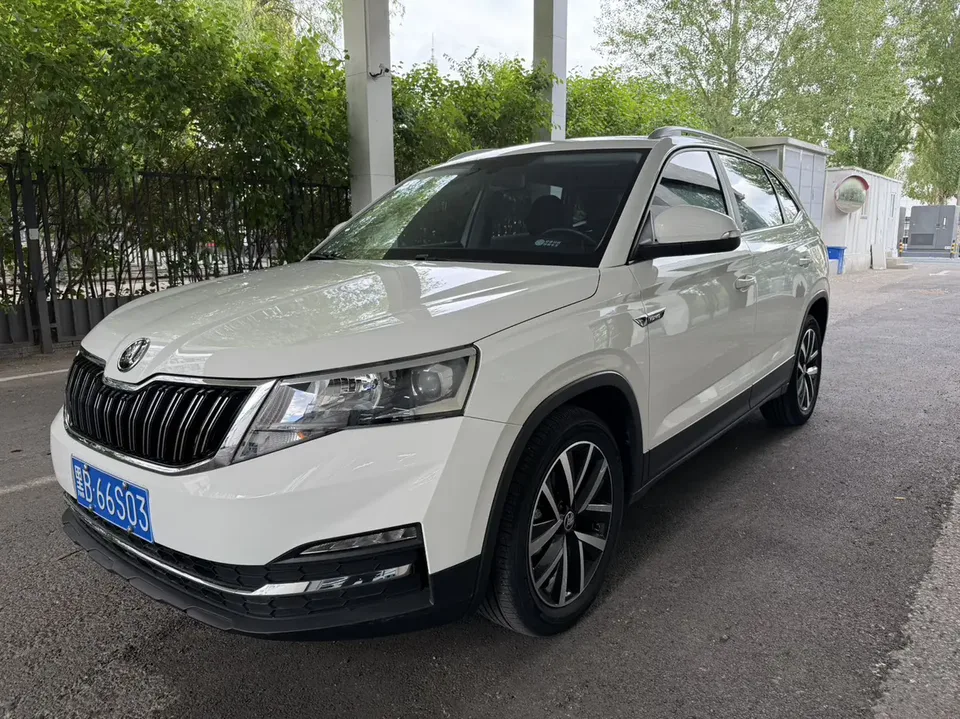 Skoda Comek Comek 1.5L Automatic Comfort Edition 2022 — photo 1, buy with delivery to Moscow