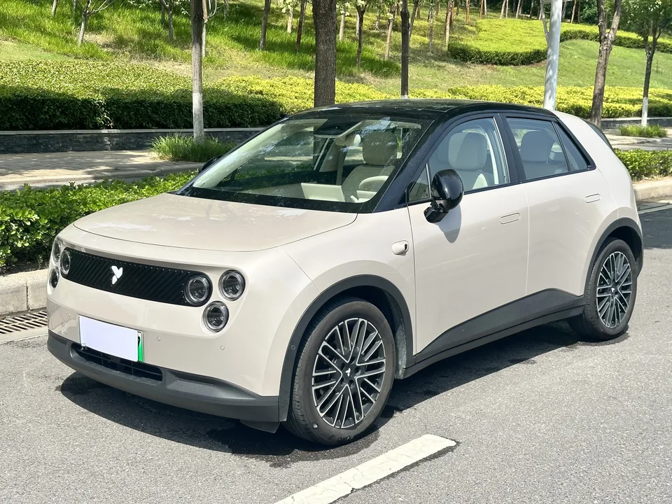 Firefly firefly firefly Luminous version 2025 — photo 1, buy with delivery to Moscow