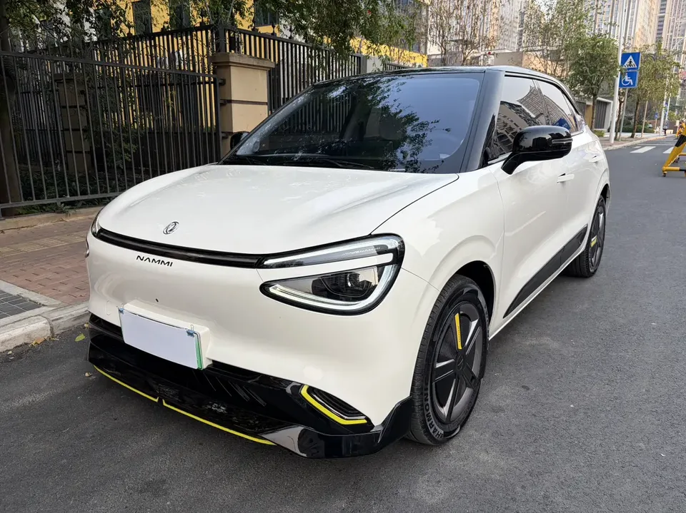 Dongfeng Nano 01 Nano 01 co-creation YOU version 2024 — photo 1, buy with delivery to Moscow