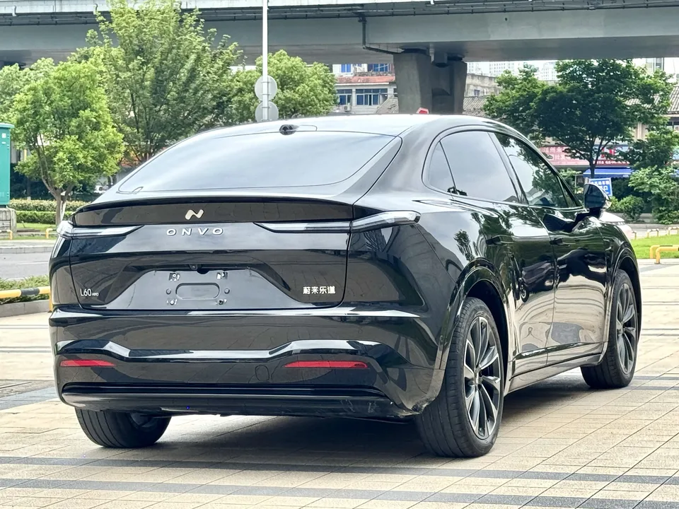 Ledao L60 L60 model 525km standard range four-wheel drive version 2024 — thumbnail 2