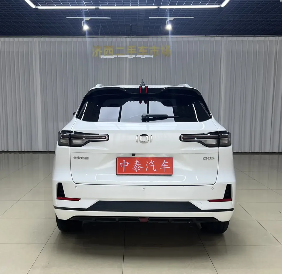 Changan Qiyuan Q05 Classic Changan Qiyuan Q05 Classic Real Fragrance Edition 125 Premium 2025 — thumbnail 2