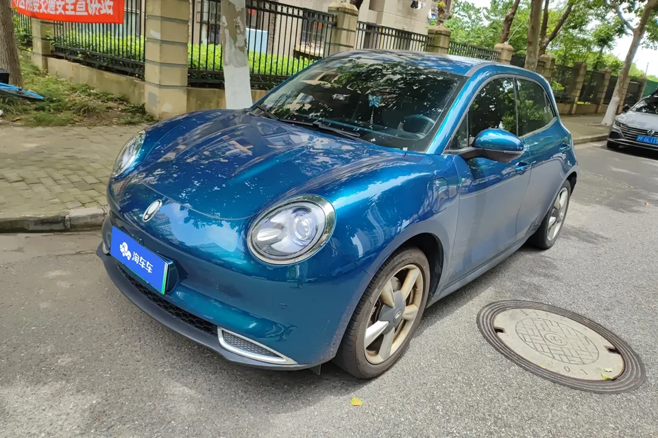 ORA Euler good cat Euler good cat 401km standard endurance luxury lithium iron phosphate 2023 — photo 1, buy with delivery to Moscow